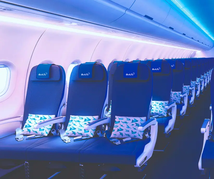 Manta Air Branding Inside An Airplane